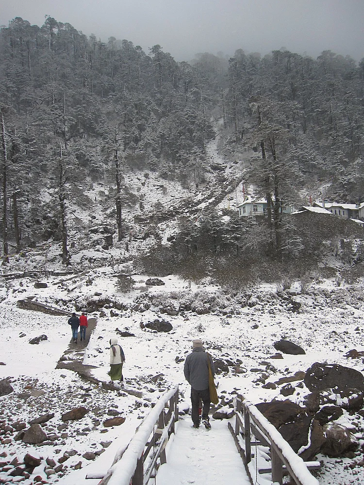 Hot springs at Yumthang Valley (PC: Quinn Comendant https://flickr.com/photos/qcom)